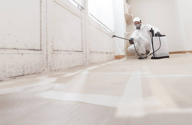 24/7 Emergency Attic Mold Remediation experts in Miami Beach, FL